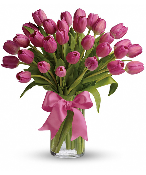 Precious Pink Tulips