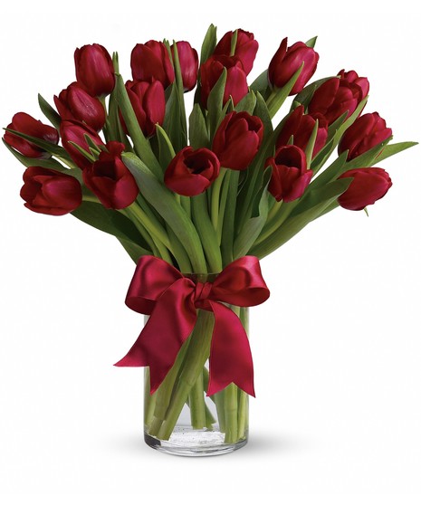 Radiantly Red Tulips